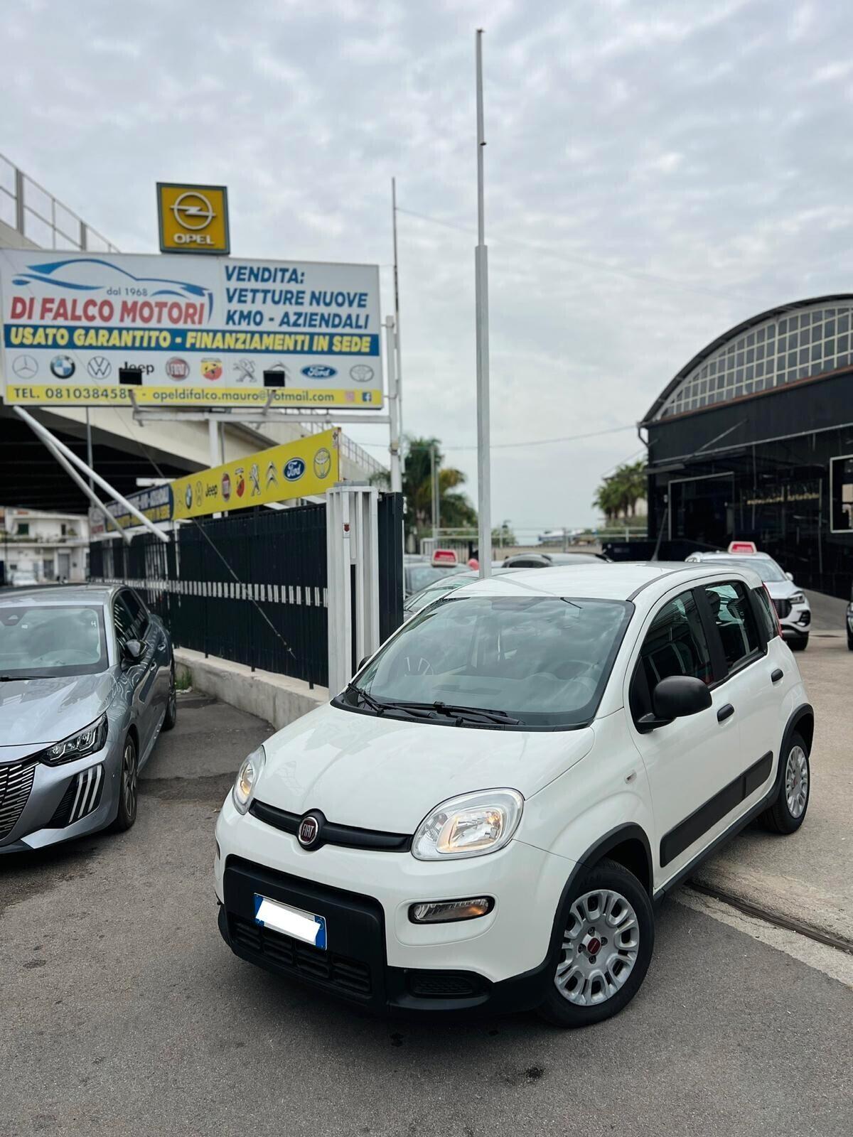 Fiat Panda 1.0 FireFly S&S Hybrid - 2022