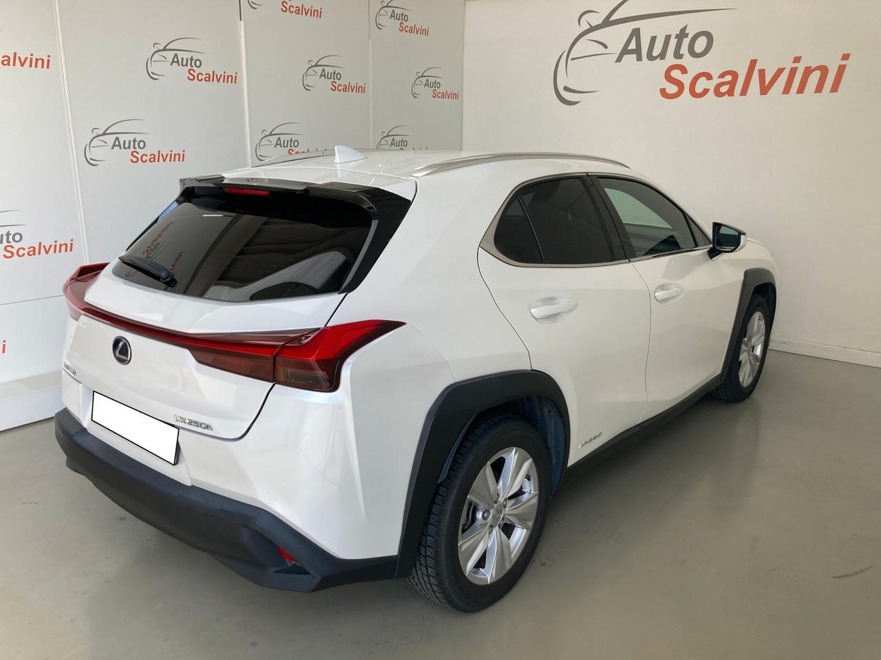 Lexus UX 250 Hybrid Executive