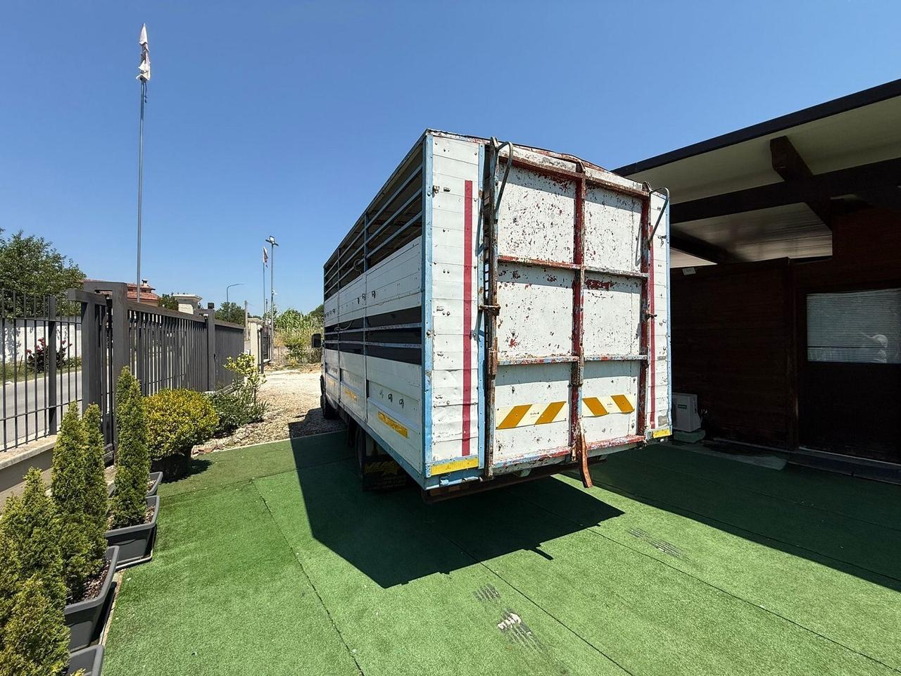 FIAT IVECO TRASPORTO ANIMALI