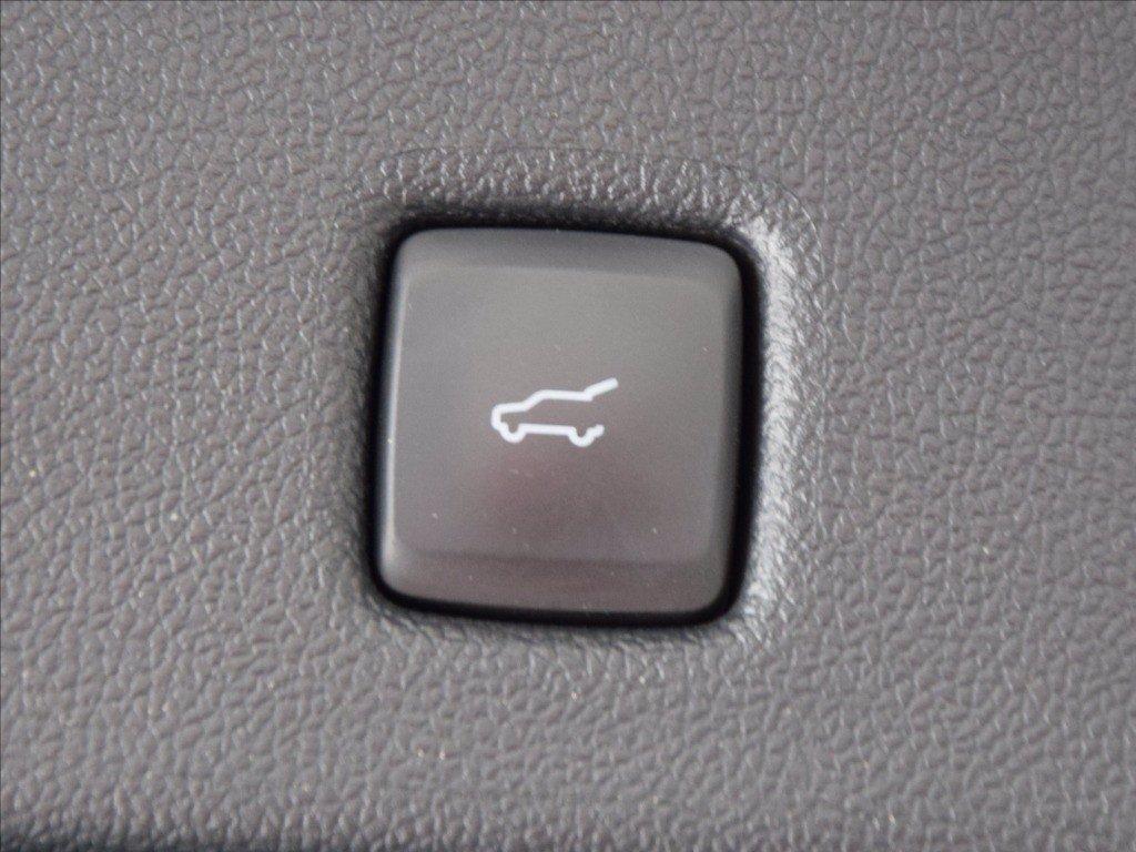 FORD Kuga 1.5 ecoblue ST-Line 2wd 120cv auto del 2023