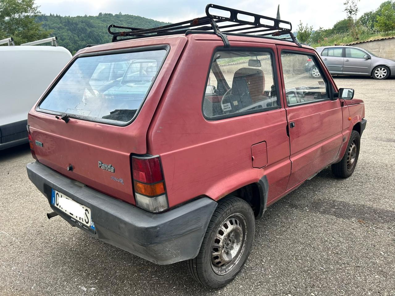 Fiat Panda 1100 per operatori del settore