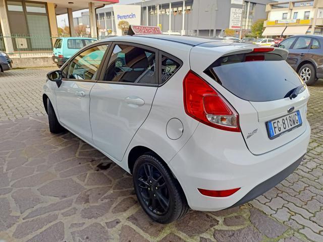 FORD Fiesta 1.5 TDCi 75CV 5 porte Black & White Edition