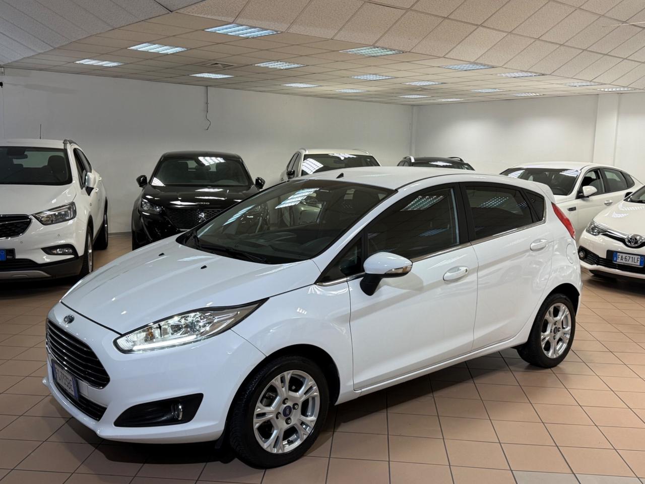 Ford Fiesta 1.4 5 porte Bz.- GPL Black & White Edition