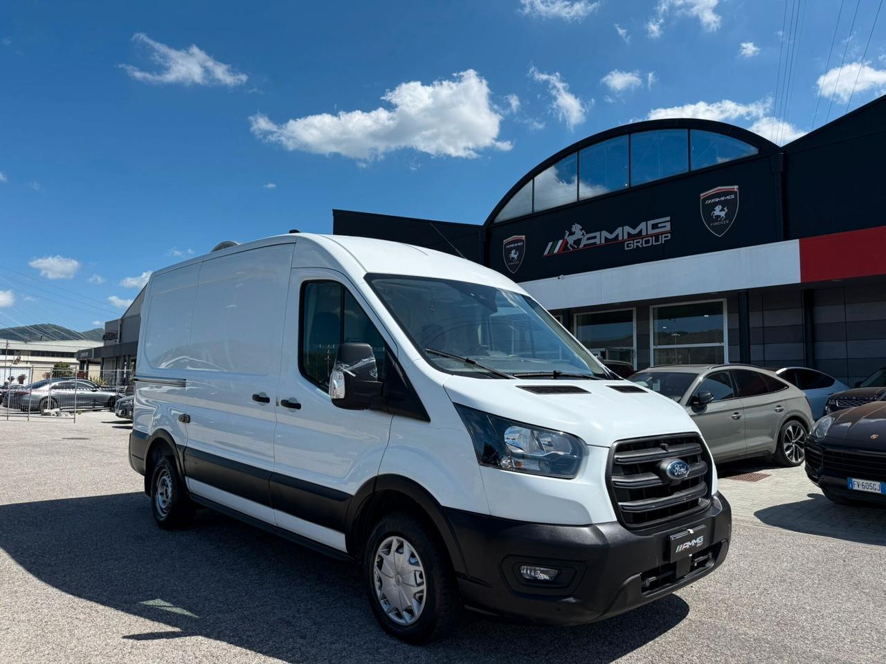 Ford Transit 290 2.0TDCi Eco Blue PM-TM Furgone PREZZO ESCLUSO IVA (029)