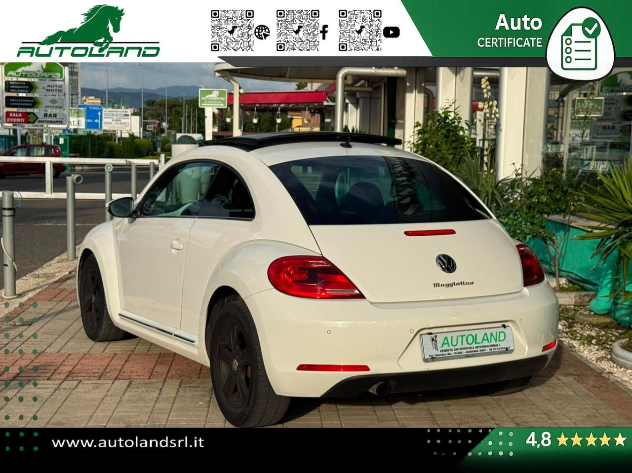 Volkswagen Maggiolino Maggiolino 1.6 tdi Design 105cv dsg