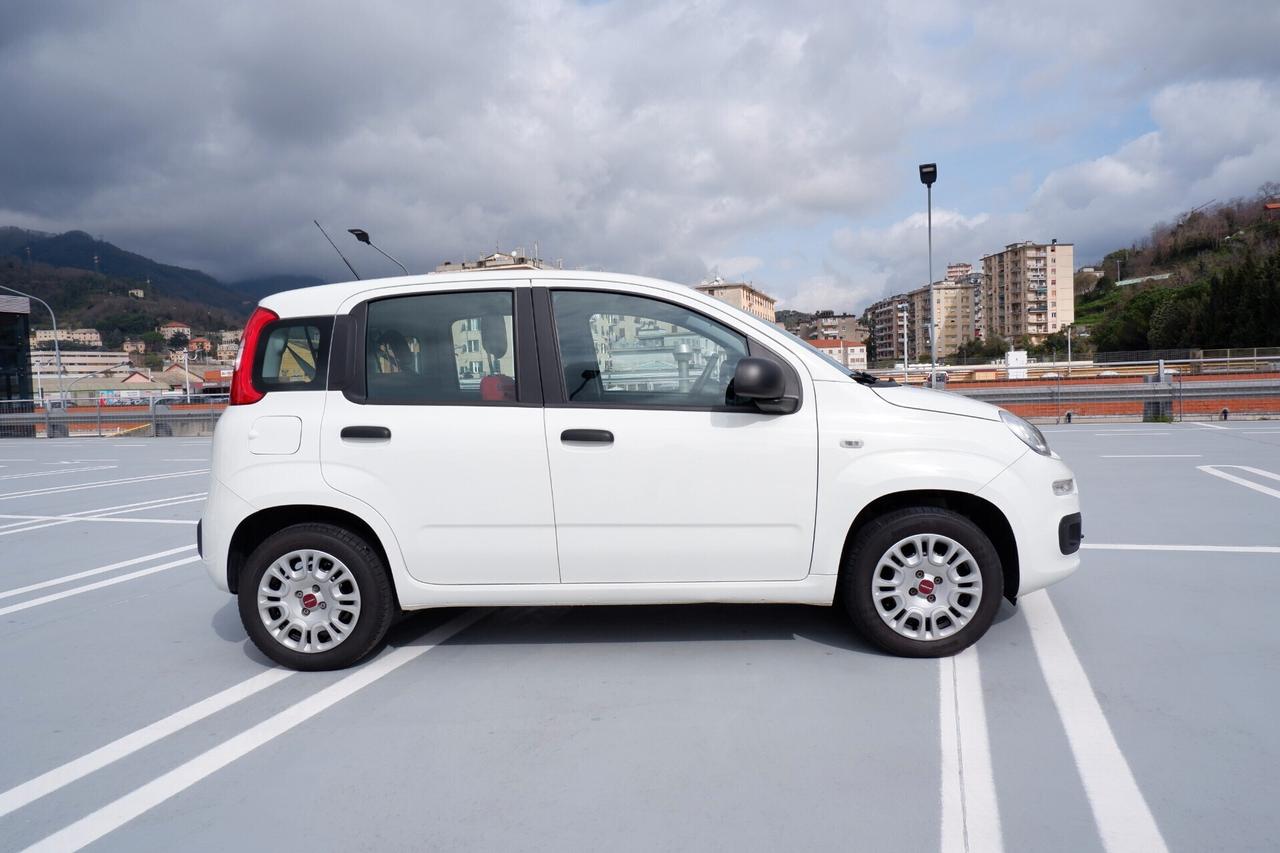 FIAT PANDA 1.2 69CV VAN 4 POSTI N1 EURO6D