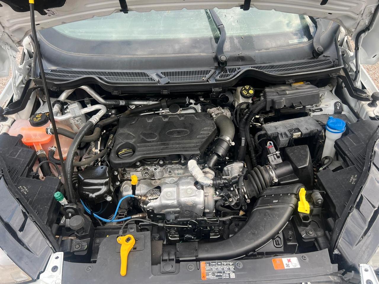 Ford EcoSport 1.5 Ecoblue 125 CV Start&Stop AWD Titanium