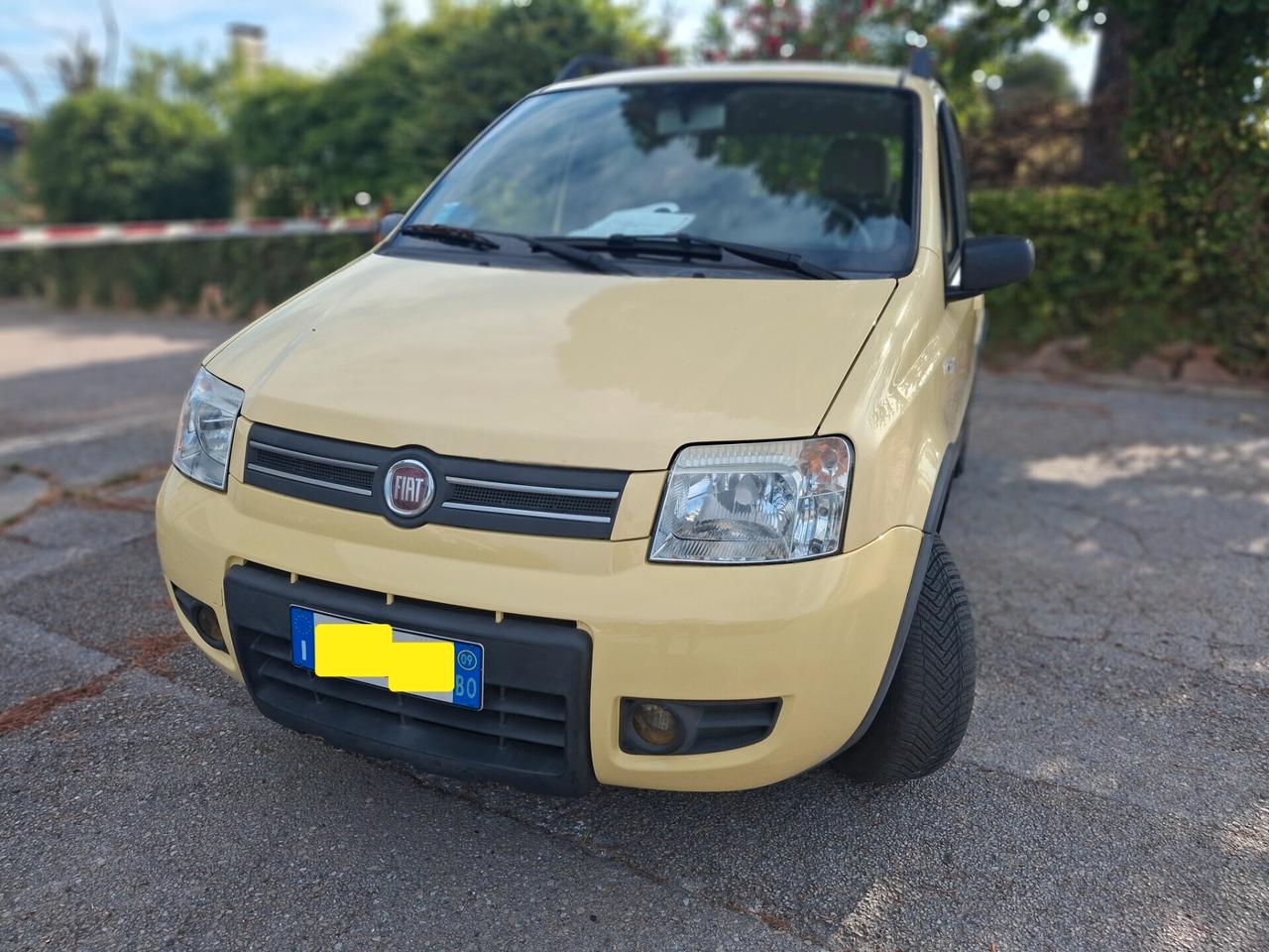 Fiat Panda 1.2 Climbing Natural Power