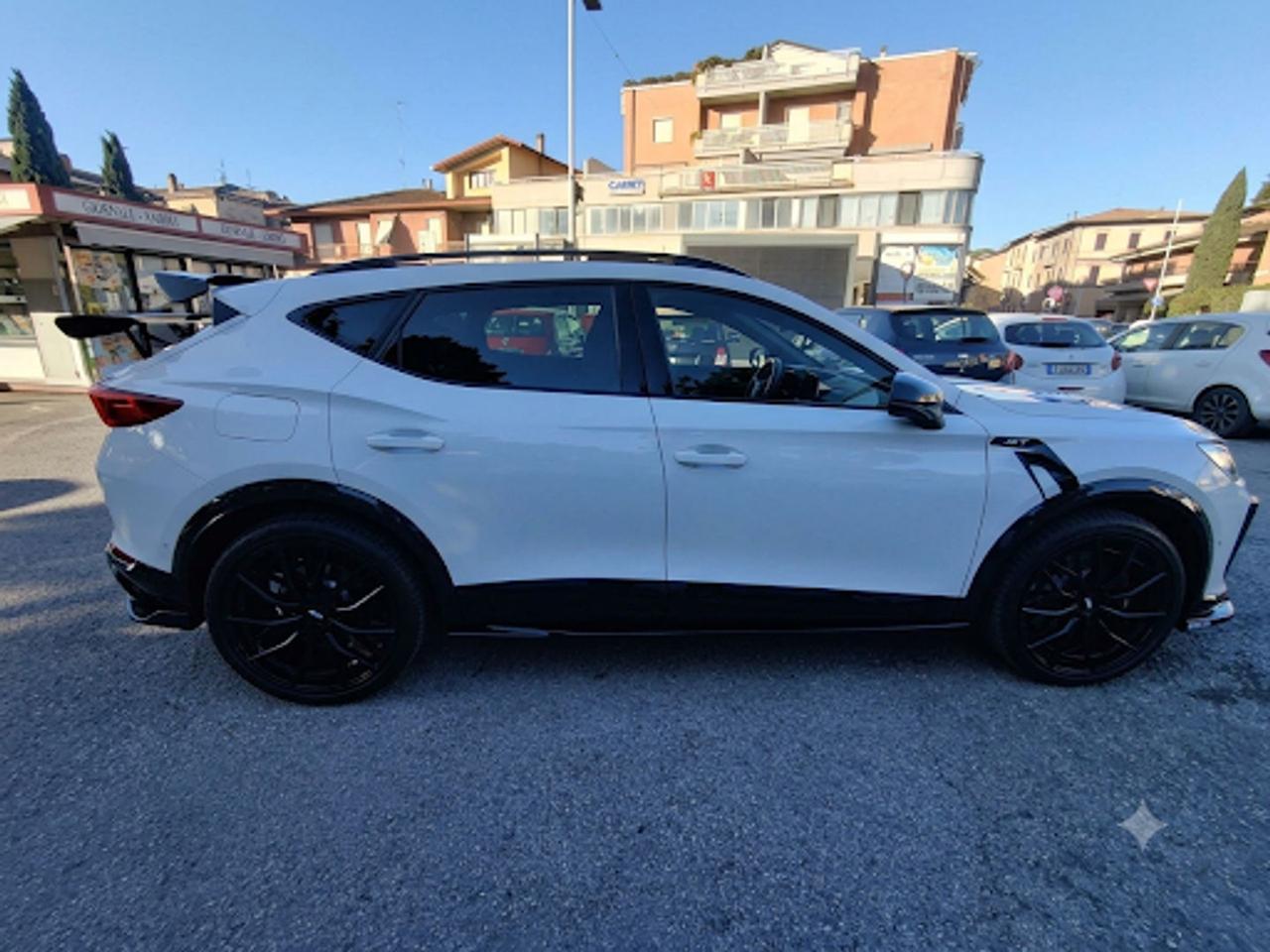 Cupra Formentor BAT 2.0 TSI #50382