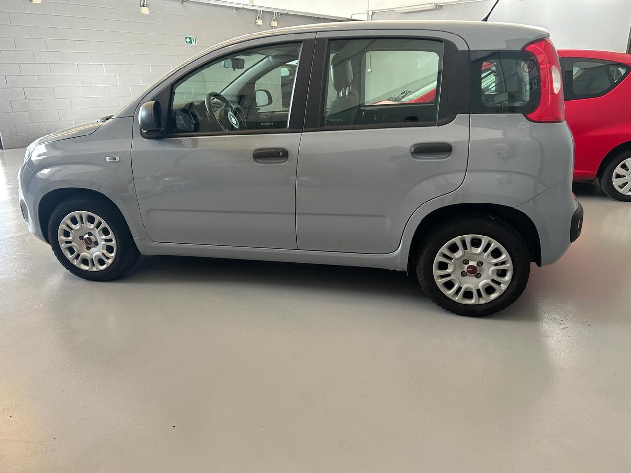Fiat Panda 1.2 NESSUN. VINCOLO varie panda