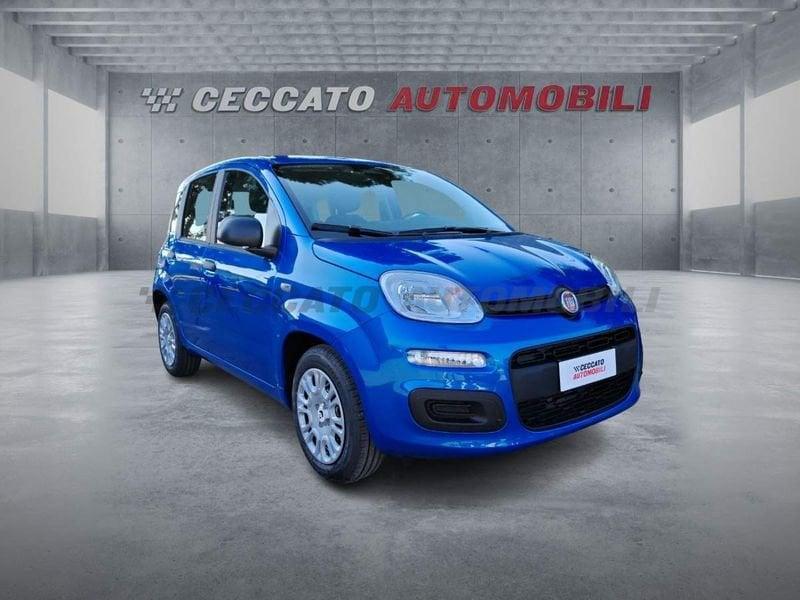 FIAT Panda Panda 1.0 firefly hybrid s&s 70cv