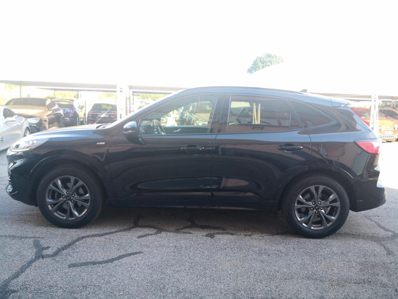 Ford Kuga 2.0 EcoBlue 150 CV aut. AWD ST-Line