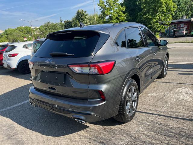 FORD Kuga 2.0 EcoBlue 120 CV aut. ST-Line