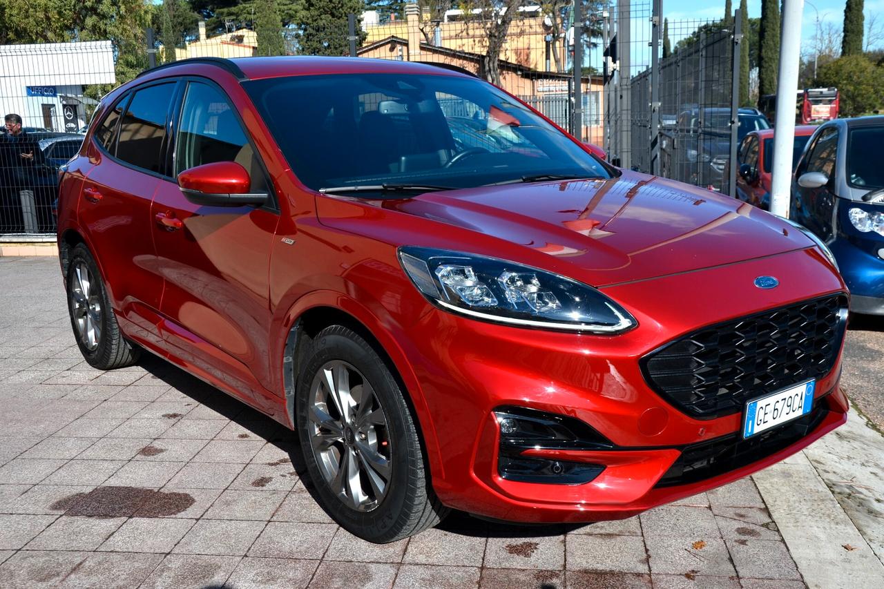 Ford Kuga 1.5 EcoBlue 120 CV 2WD ST-Line X