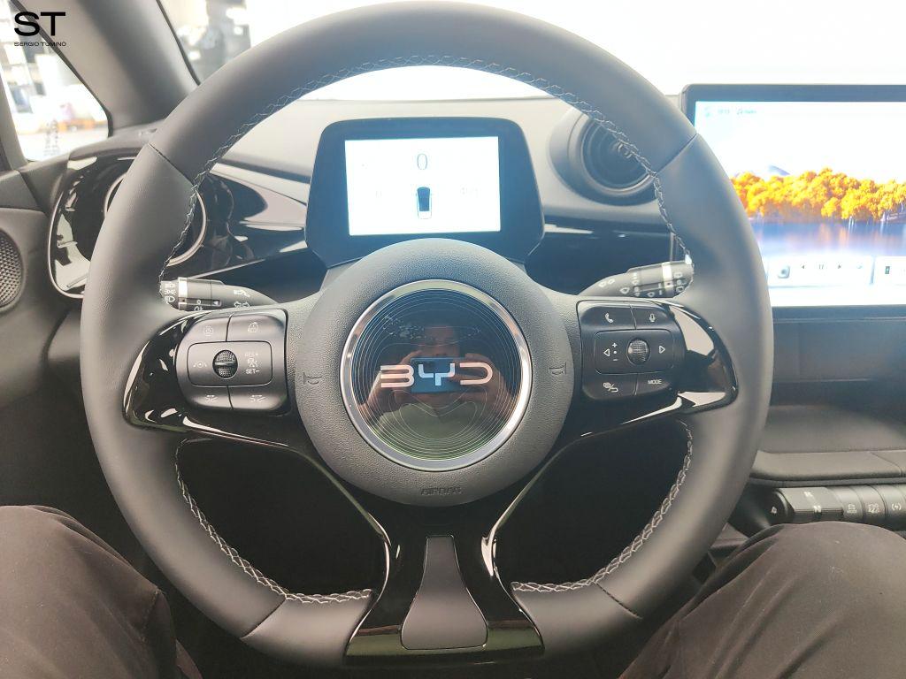 BYD BYD DOLPHIN 2025 Comfort