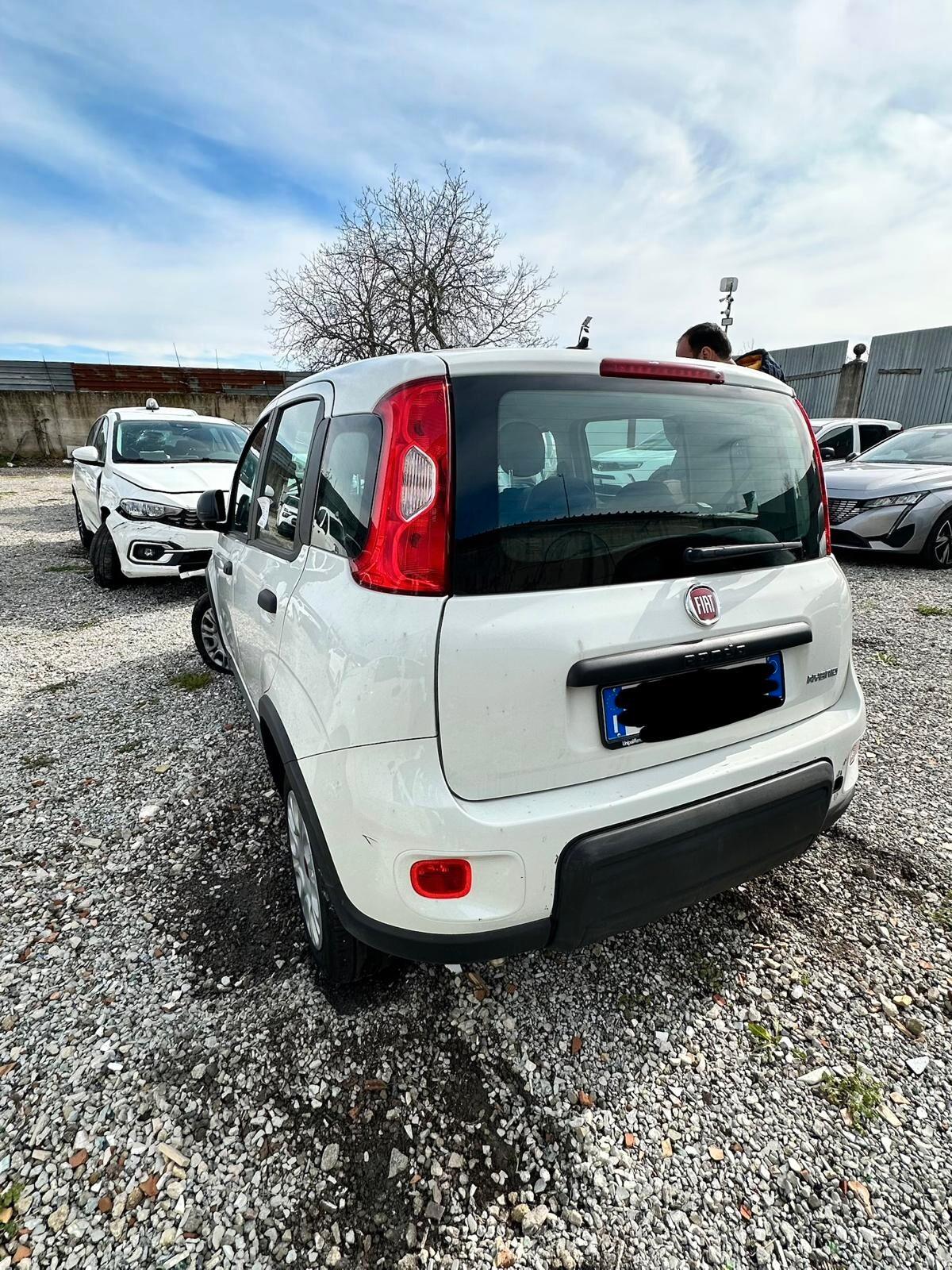 Fiat Panda 1.0 Hybrid 05/2023 sinitrata