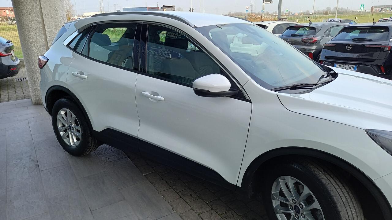 Ford Kuga 1.5 EcoBlue 120 CV aut. 2WD Titanium Business