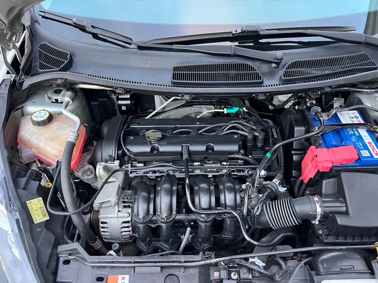 Ford Fiesta 1.2 82 CV 5 porte Titanium