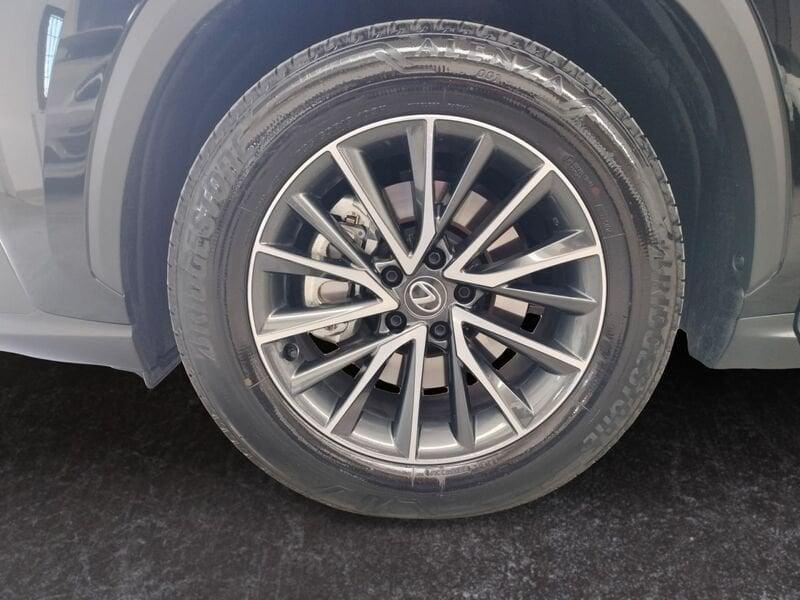 Lexus NX NX Hybrid 4WD Business