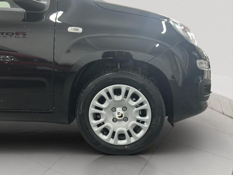 FIAT Pandina Pandina 1.0 FireFly 65 CV Hybrid Icon