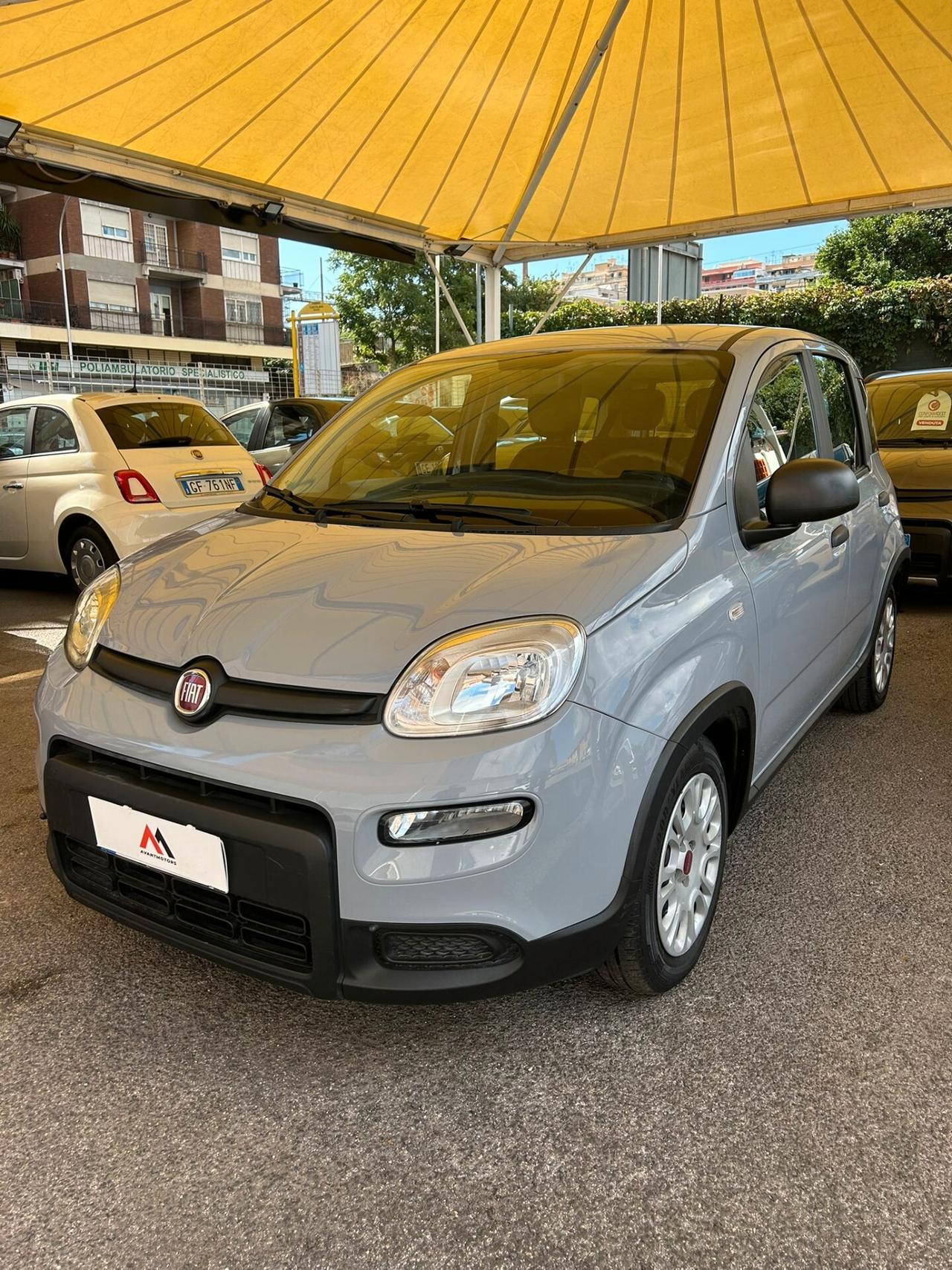 FIAT PANDA 1.0 HYBRID FIREFLY **PREZZO REALE**