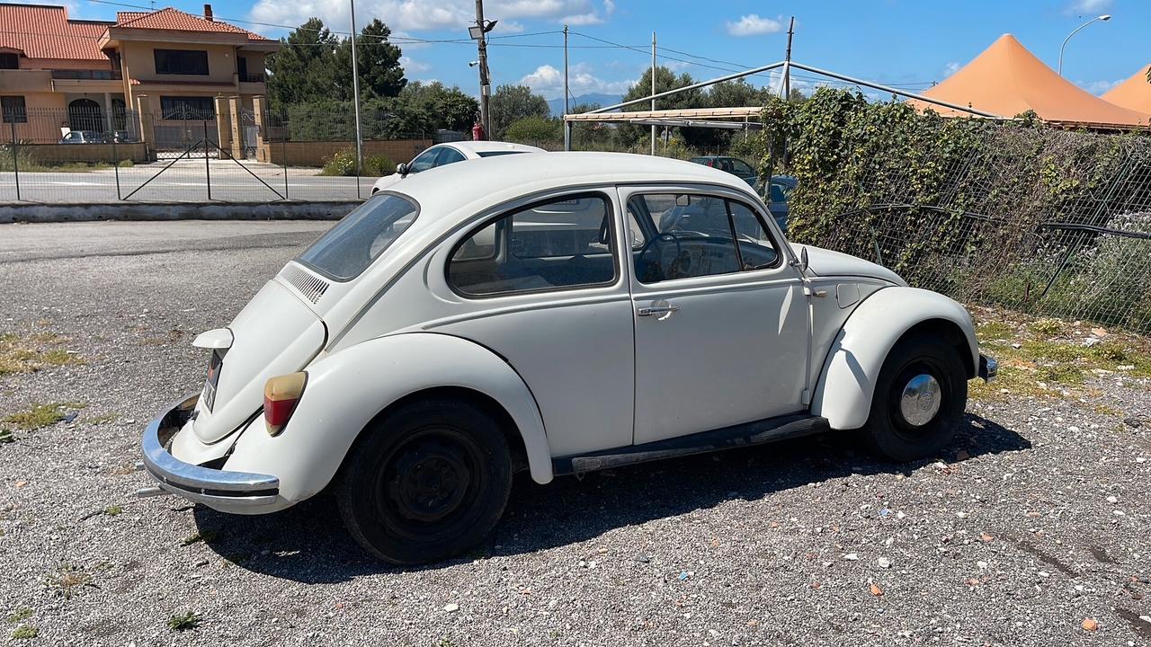 Volkswagen Maggiolino