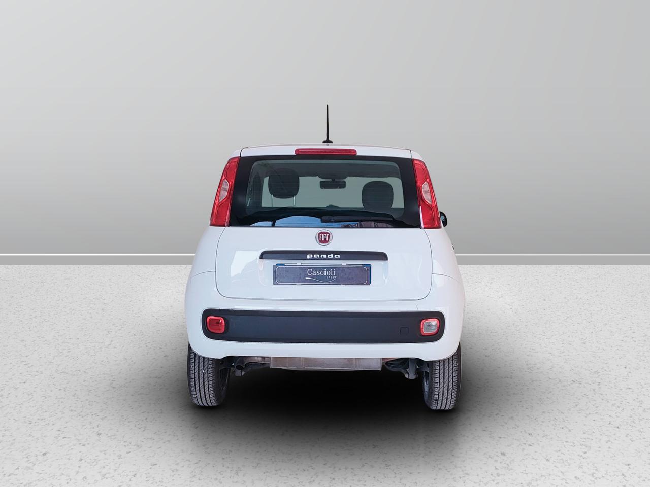 FIAT Panda III 2016 - Panda 0.9 t.air t. natural power Easy 70cv