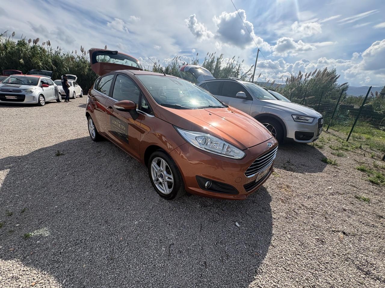 Ford Fiesta 1.0 EcoBoost 100CV 5 porte Powershift Titanium