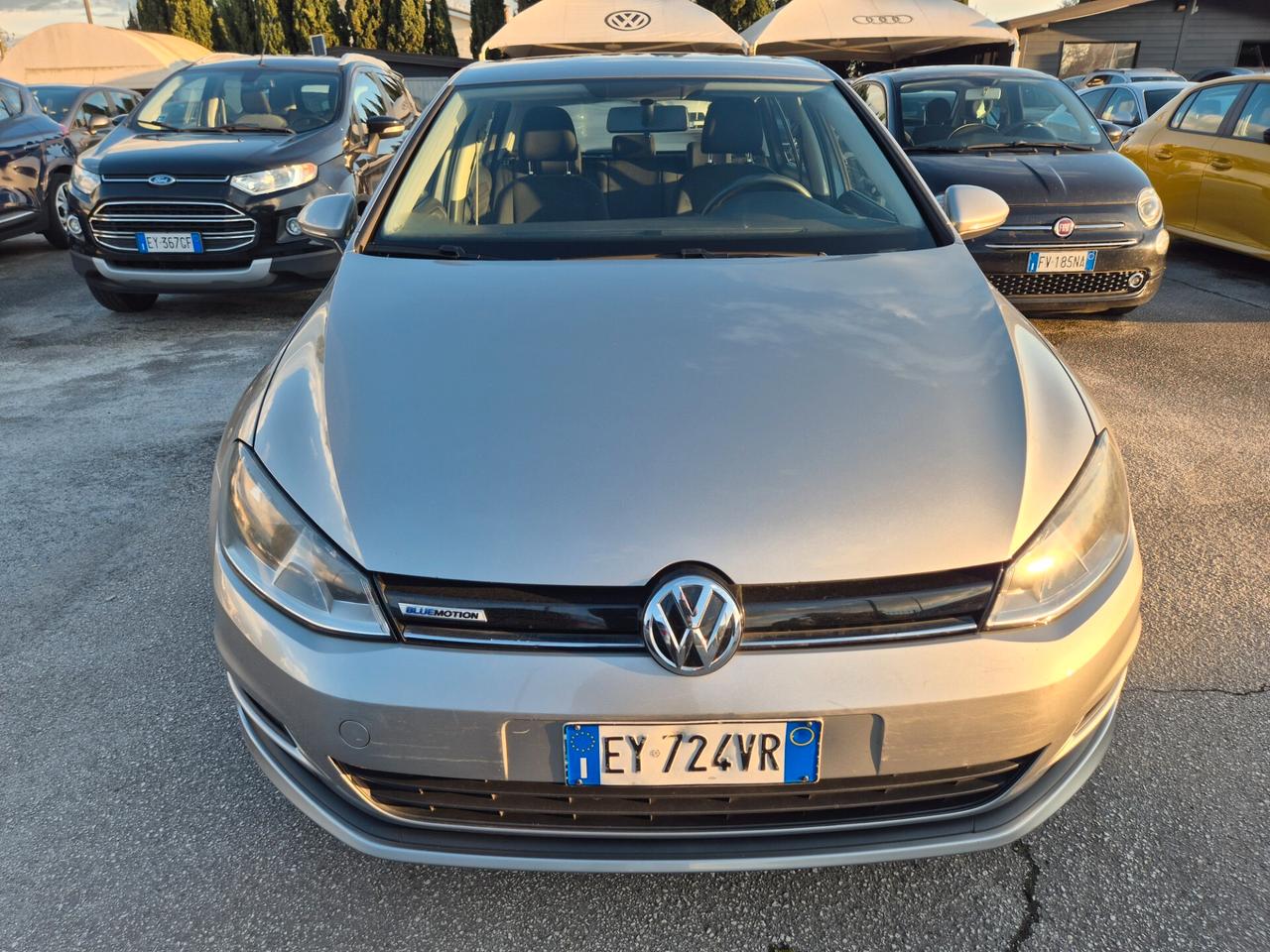 Volkswagen Golf Business 1.4 TGI 5p. Comfortline BlueMotion