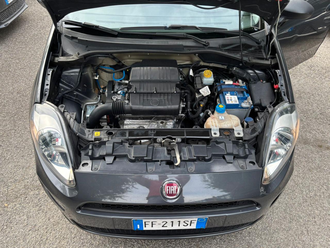 Fiat Punto 1.2 8V 5 porte Lounge OK Neopatentati