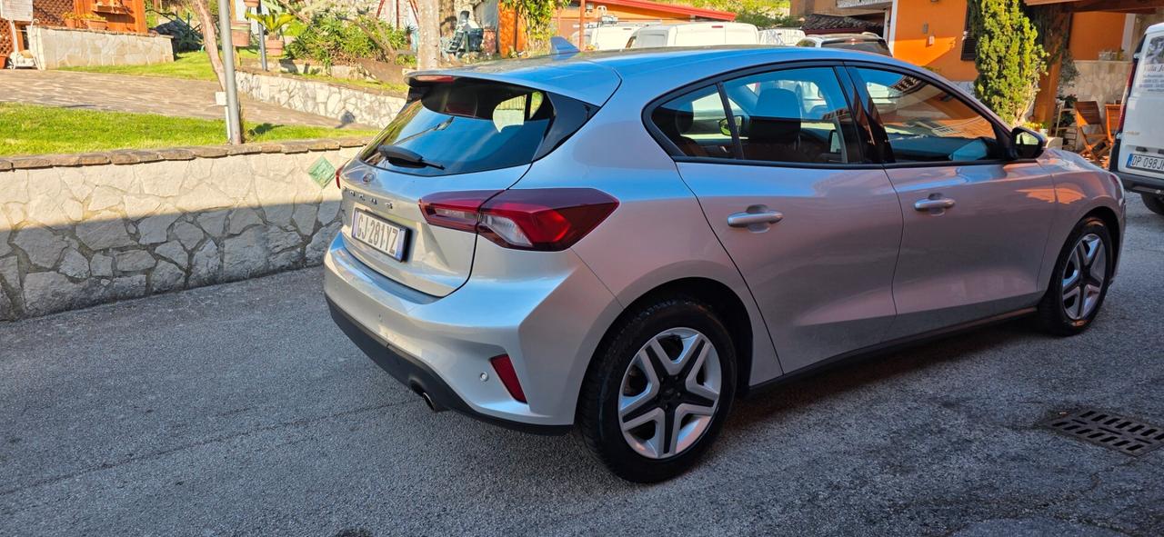 Ford Focus 1.5 EcoBlue 120 CV 5p. Business