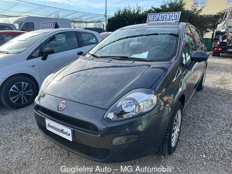 FIAT Punto Punto 1.2 8V 5 porte Street