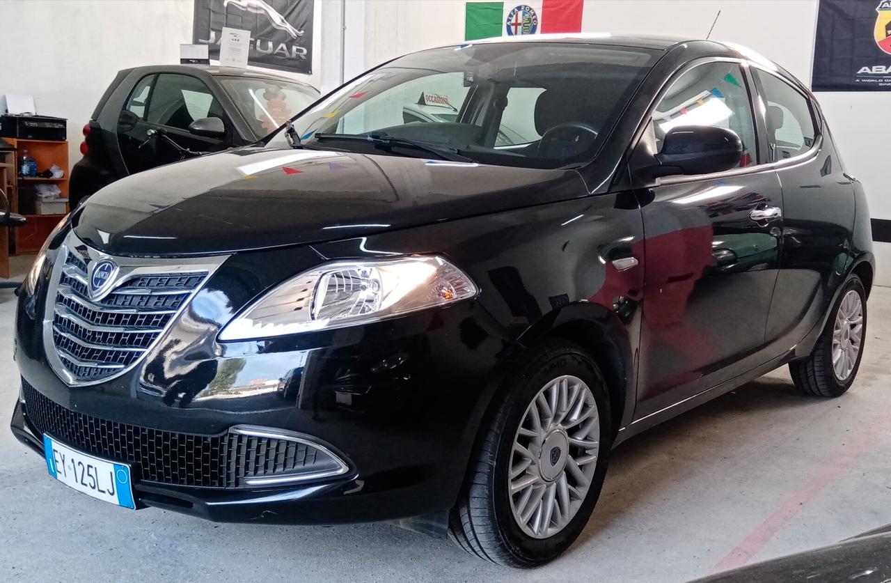 Lancia Ypsilon 1.2 69 CV 5 porte GPL Ecochic Elle