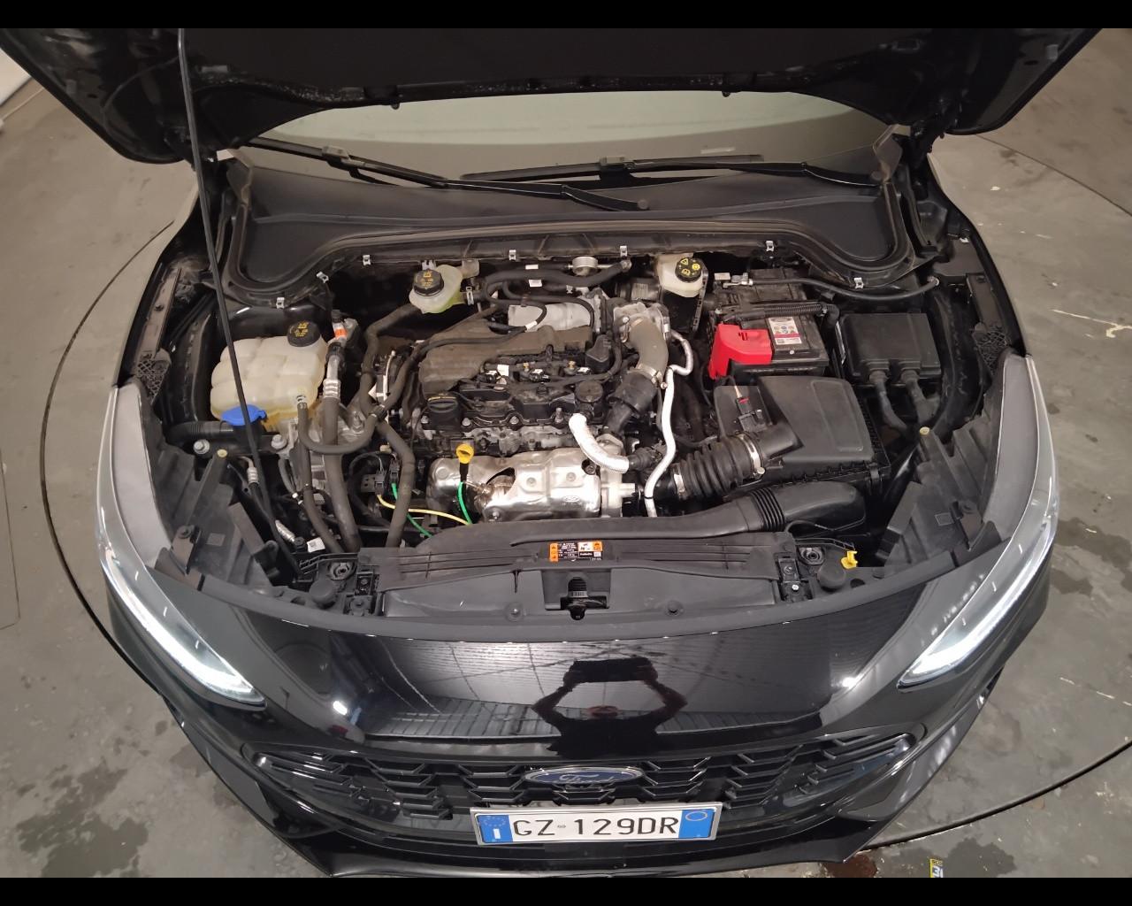 FORD Focus V 2022 - Focus 1.5 ecoblue ST-Line 115cv auto