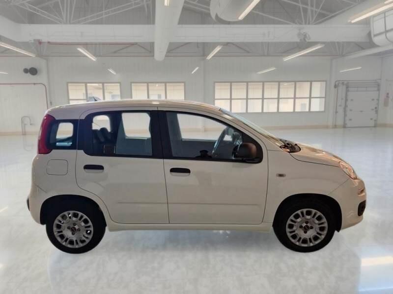 Fiat Panda Fiat Panda 1.2 easy 5 posti