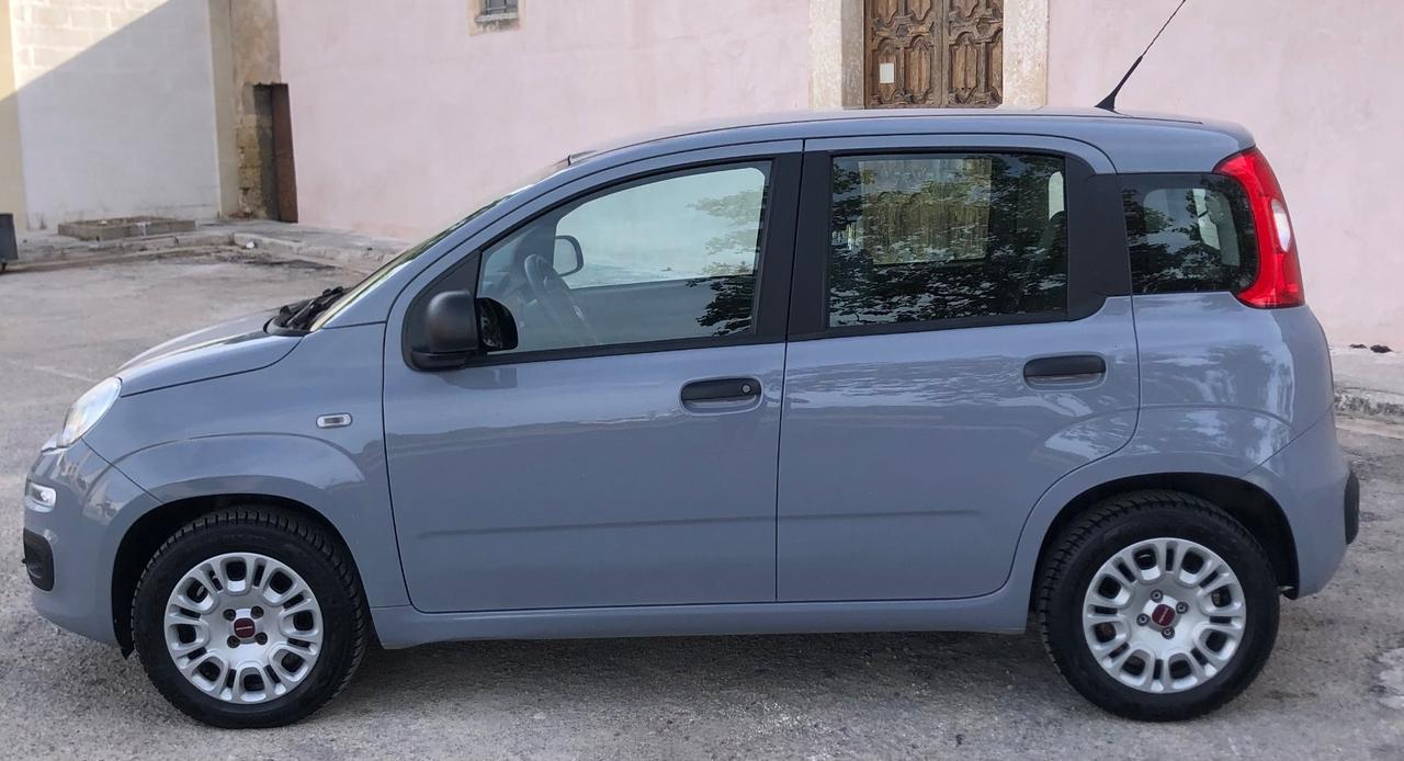 Fiat Panda 1.2 Lounge