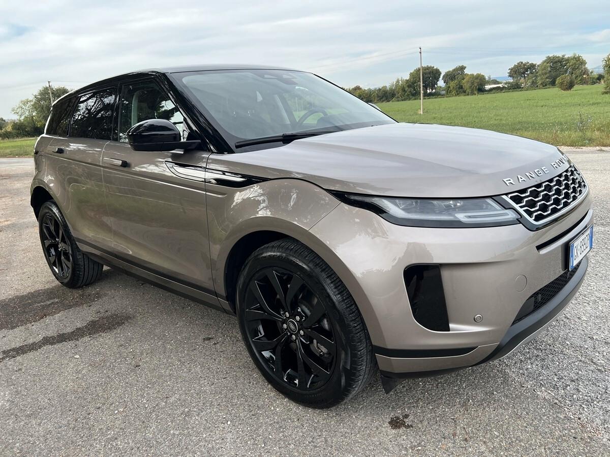 Land Rover Range Evoque 1.5 I3 160 CV Auto SE