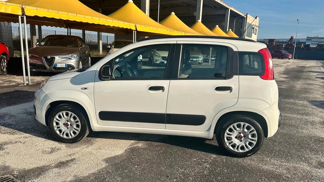Fiat Panda 1.2 EasyPower GPL UNICO PROPRIETARIO