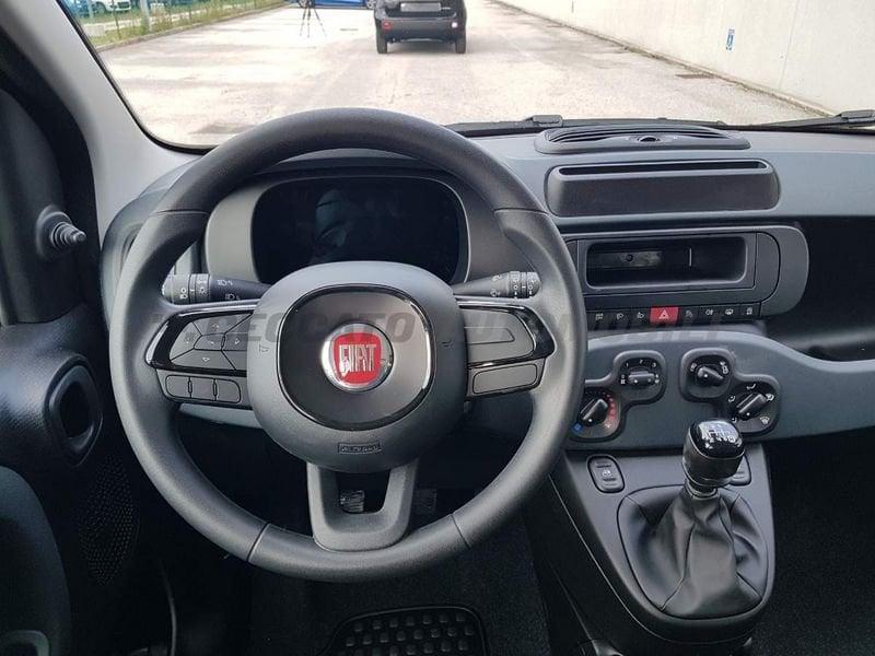 FIAT Panda Panda 1.0 70cv Hybrid Pop
