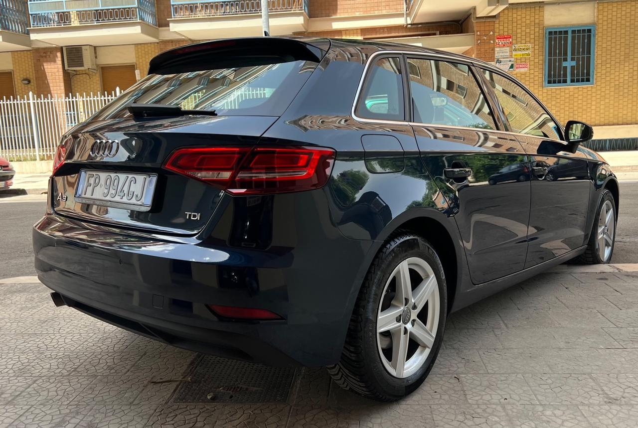 Audi A3 SPB 1.6 TDI 116 CV Sport