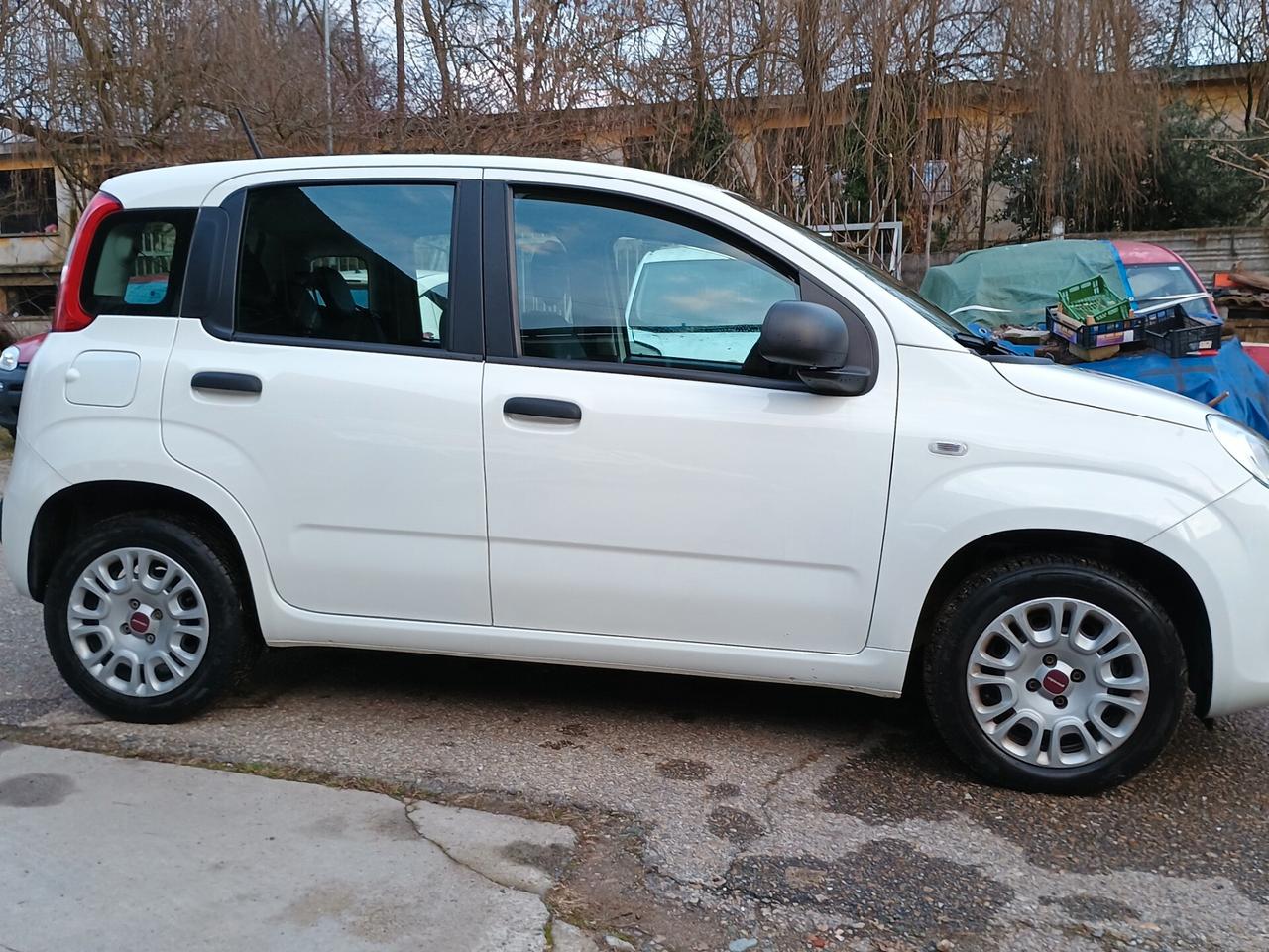 Fiat Panda 1.2 benzina UNICO PROPRIETARIO