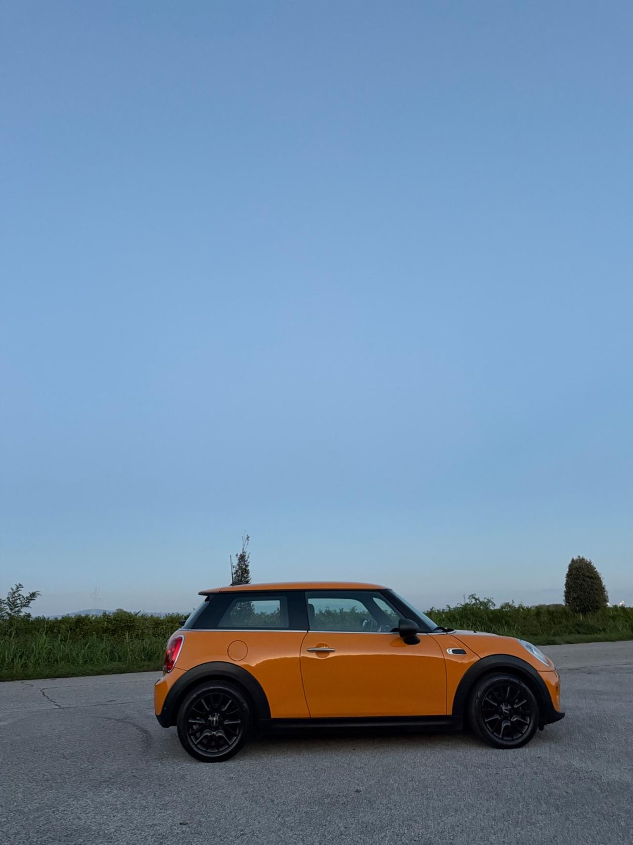 Mini 1.5 One D