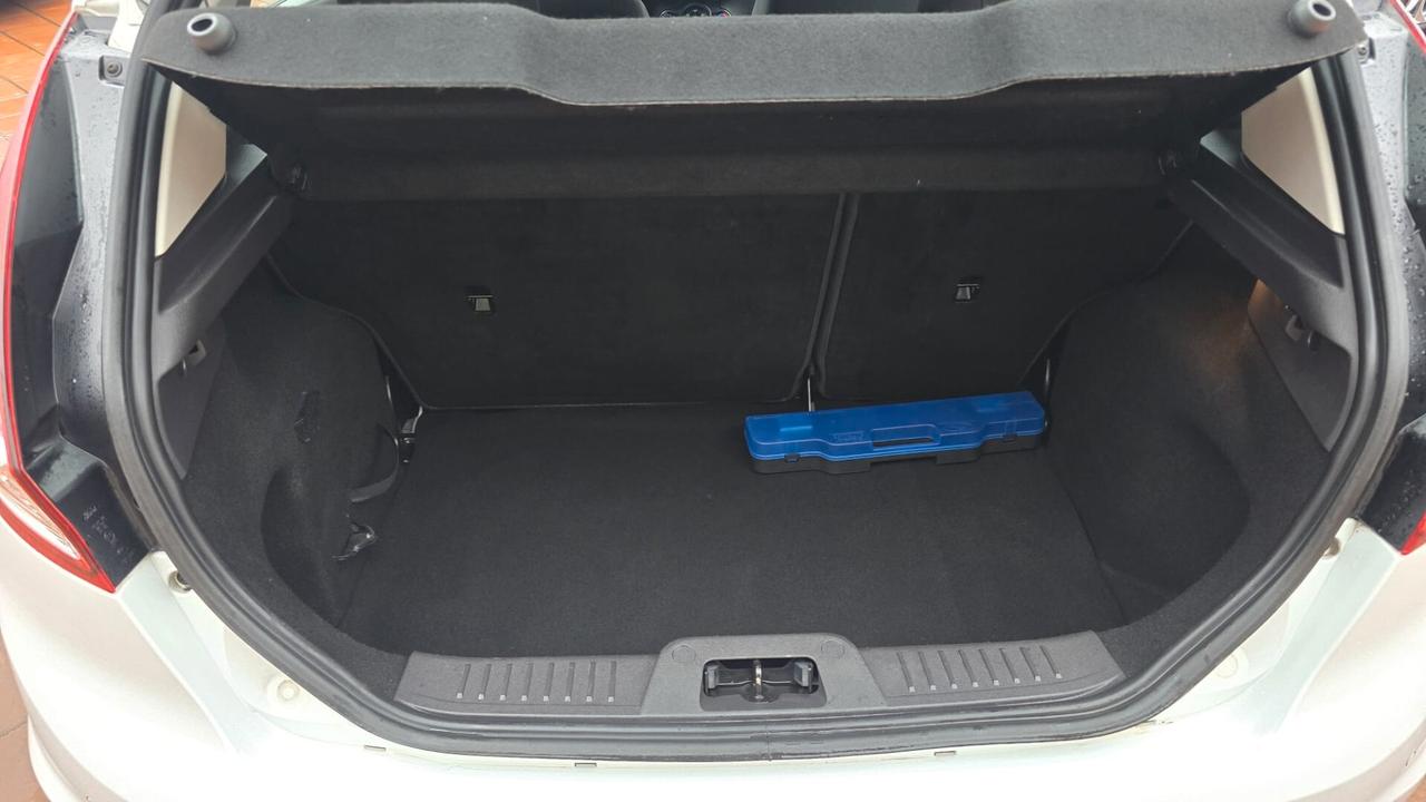 Ford Fiesta 1.5 TDCi 75CV 5 porte Titanium