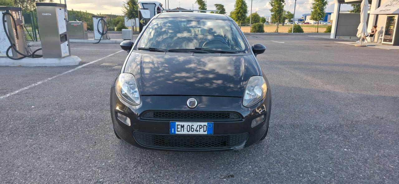 Fiat Punto 1.3 MJT II 75 CV 5 porte Easy neopatentati
