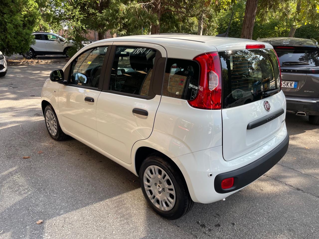 Fiat Panda 1.0 FireFly S&S Hybrid Icon