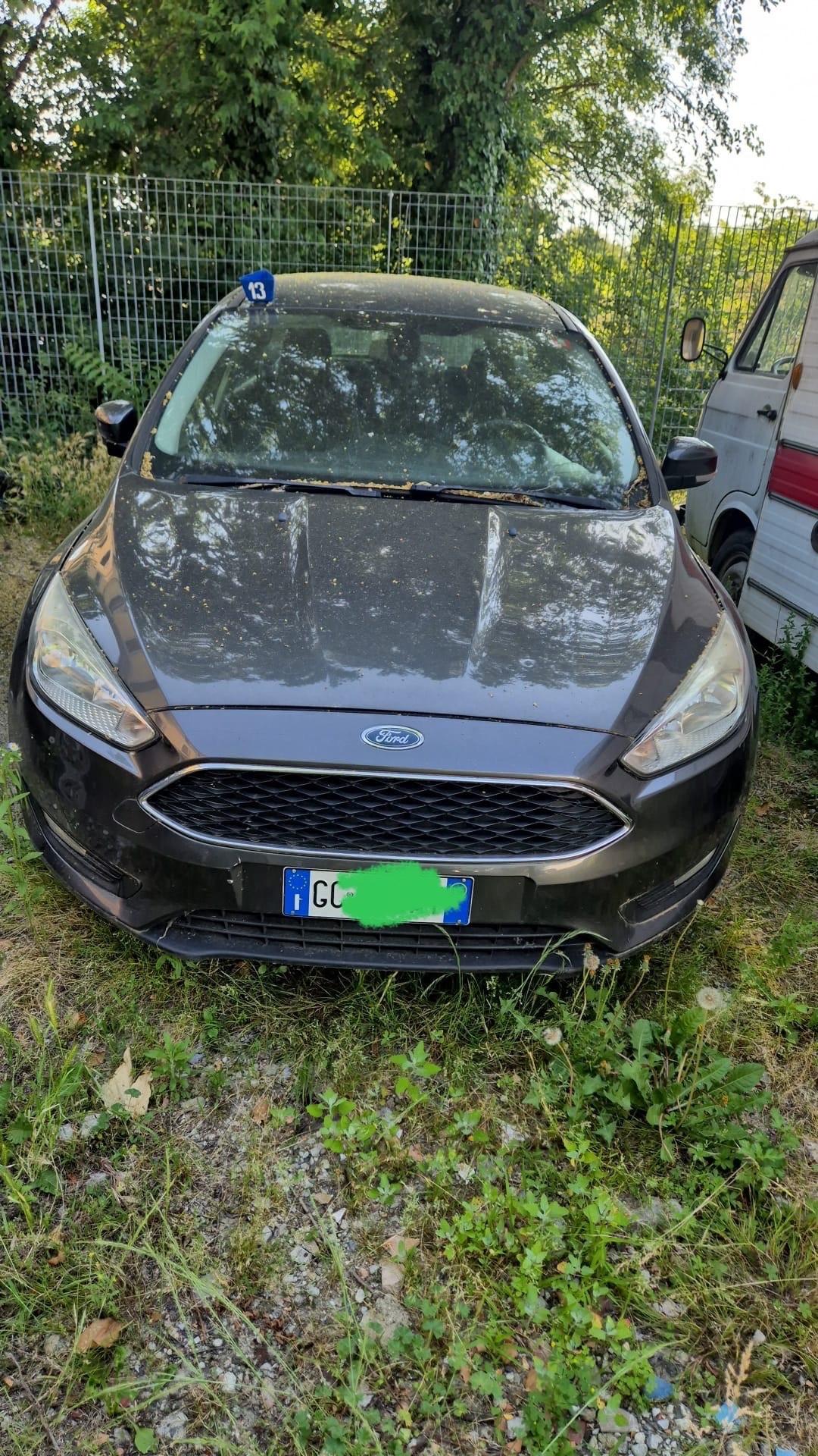 Ford Focus 1.0 EcoBoost 125 CV Start&Stop SW Titanium Turbina da Cambiare