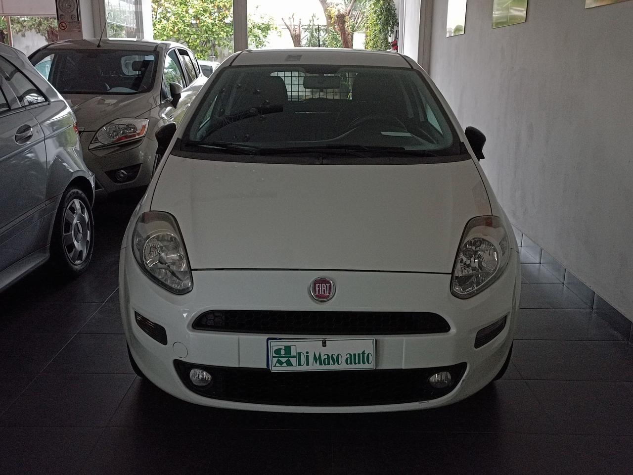 Fiat Punto Evo due posti autocarro