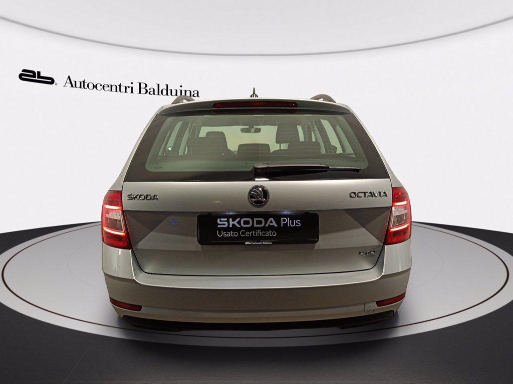 SKODA Octavia wagon 1.6 tdi executive 4x4 115cv del 2019