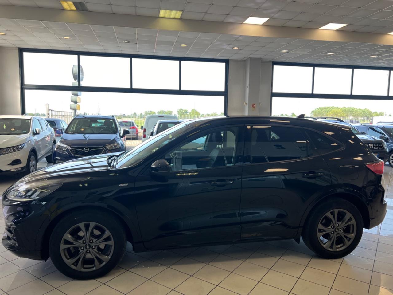 Ford Kuga 2.0 EcoBlue Hybrid 150 CV 2WD ST-Line