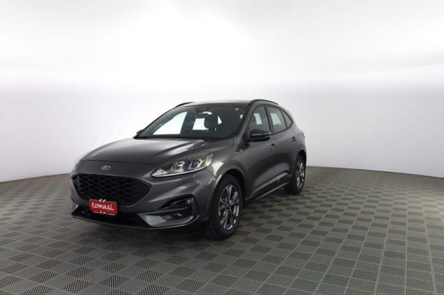 FORD Kuga Kuga 1.5 EcoBlue 120 CV aut. 2WD ST-Line